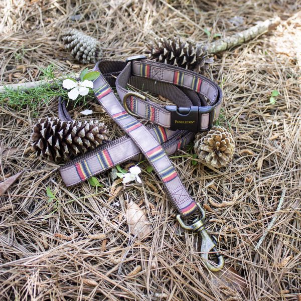 Pendleton Dog Collar