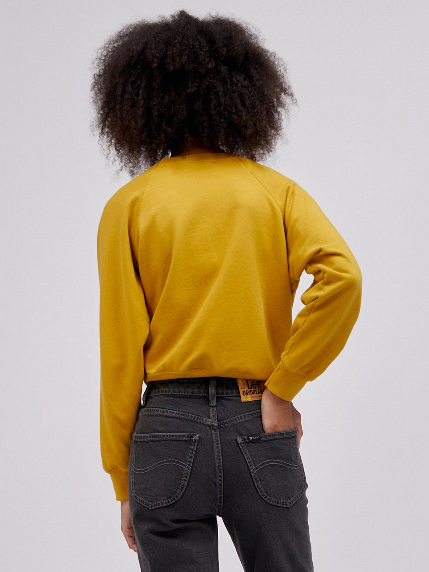 WOMEN'S LEE X DAYDREAMER WESTERN RAGLAN CREW SWEATSHIRT IN GOLDEN DAZE