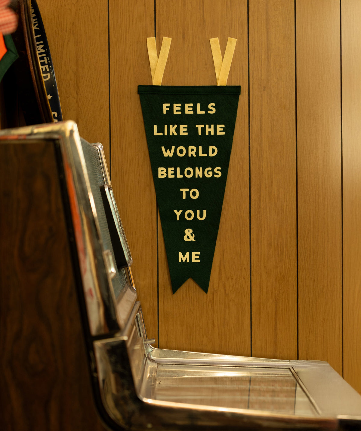 Feels Like The World Belongs To You & Me Fishtail Pennant • Turnpike Troubadours x Oxford Pennant