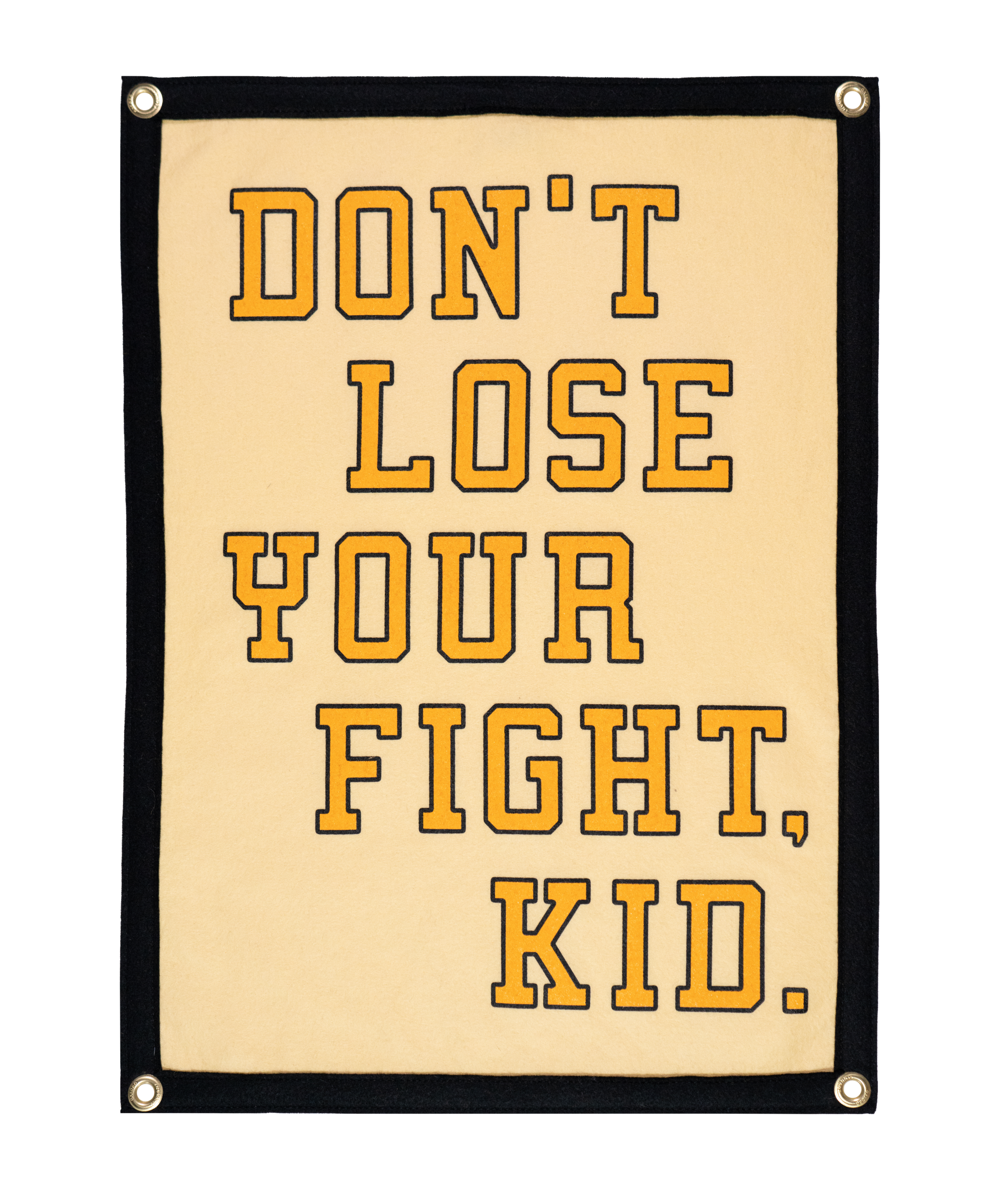 Don't Lose Your Fight Camp Flag • All Time Low x Oxford Pennant