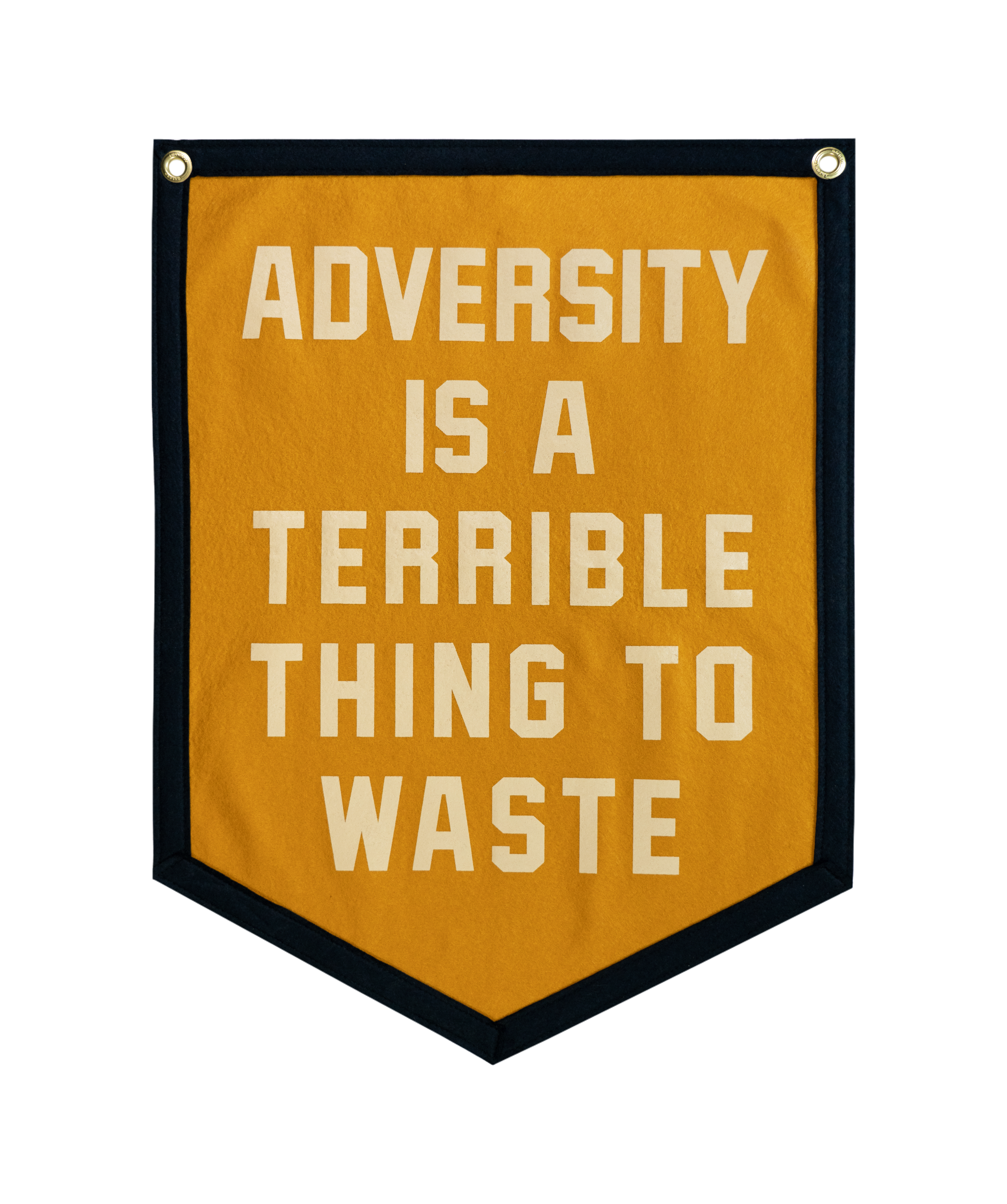 Adversity Is A Terrible Thing To Waste Camp Flag • Unreasonable Hospitality x Oxford Pennant