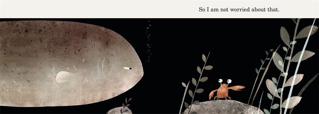 This Is Not My Hat by Jon Klassen (Kids Board Book)