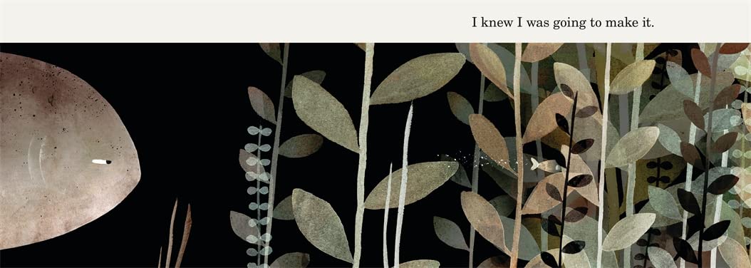 This Is Not My Hat by Jon Klassen (Kids Board Book)
