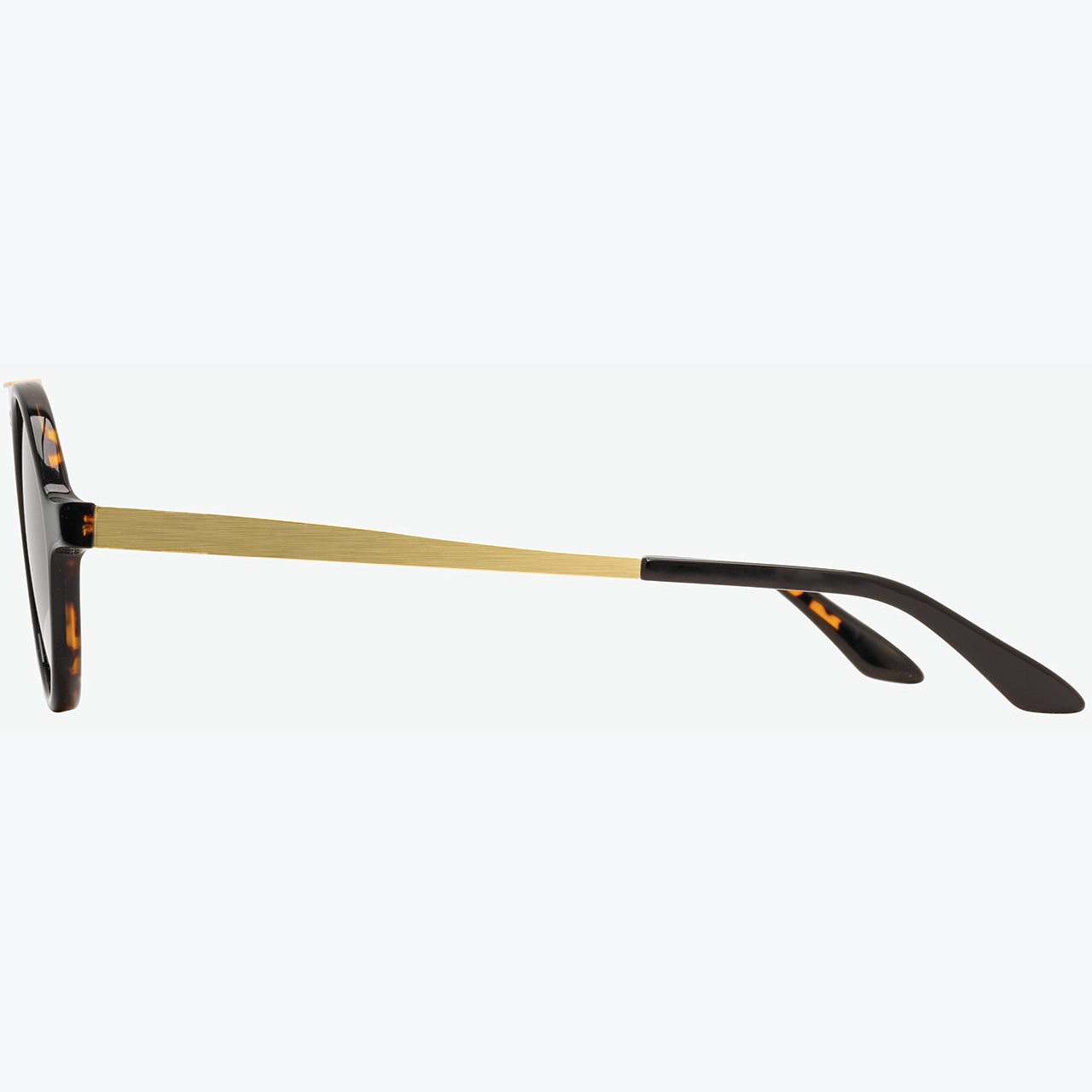 Oxford - Black Tortoise Gold Polarized