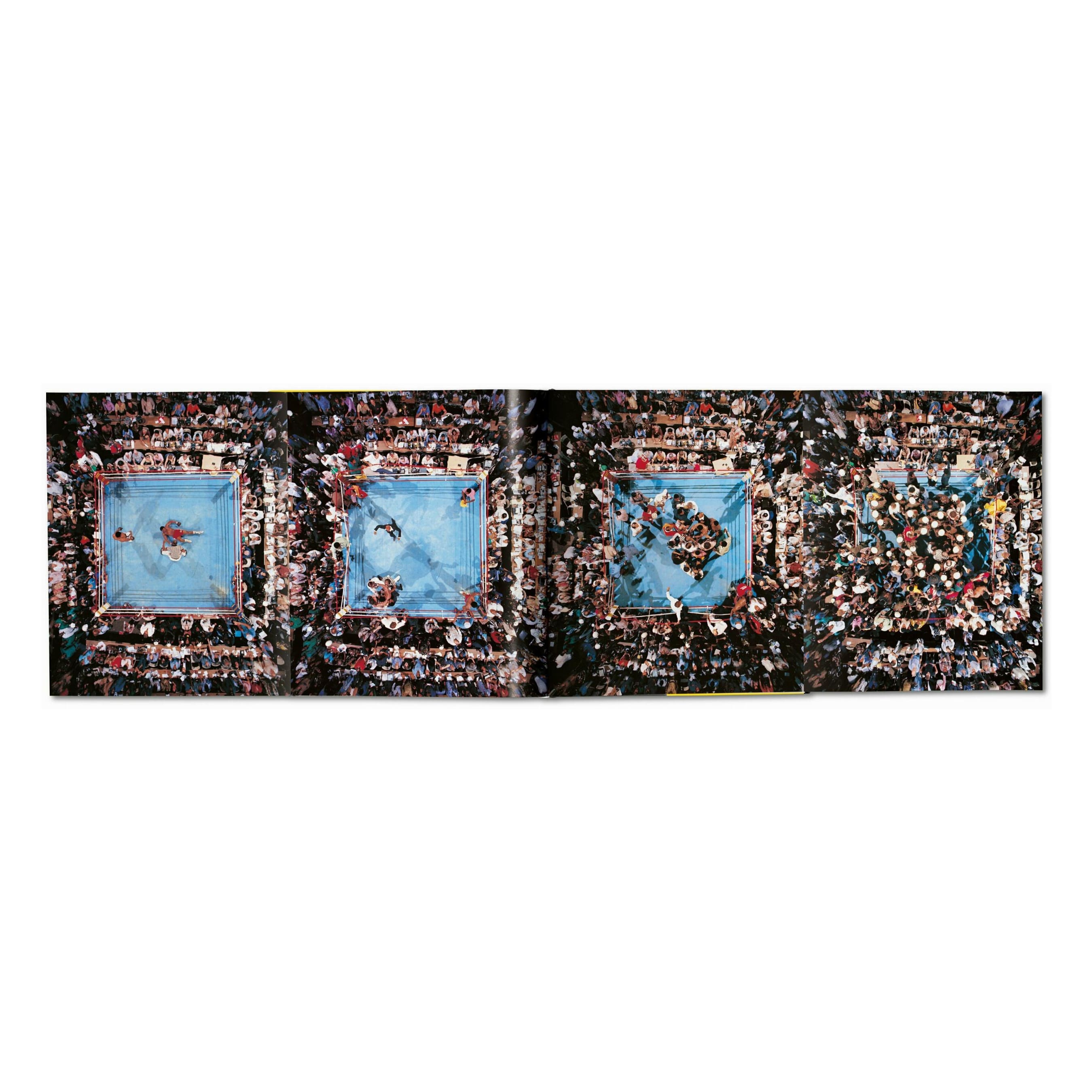 Norman Mailer. Neil Leifer. Howard L. Bingham. The Fight (English)