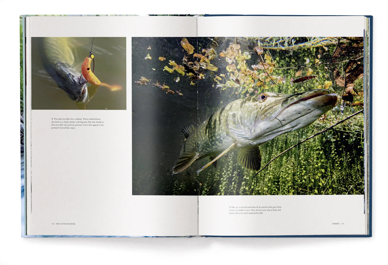 Fishing - The Ultimate Book by Moritz Rott