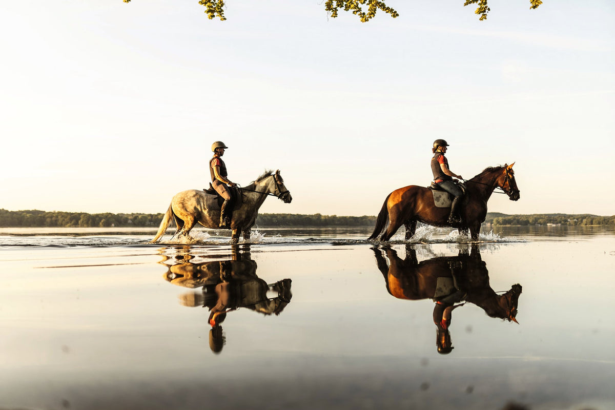Equestrian - The Ultimate Book