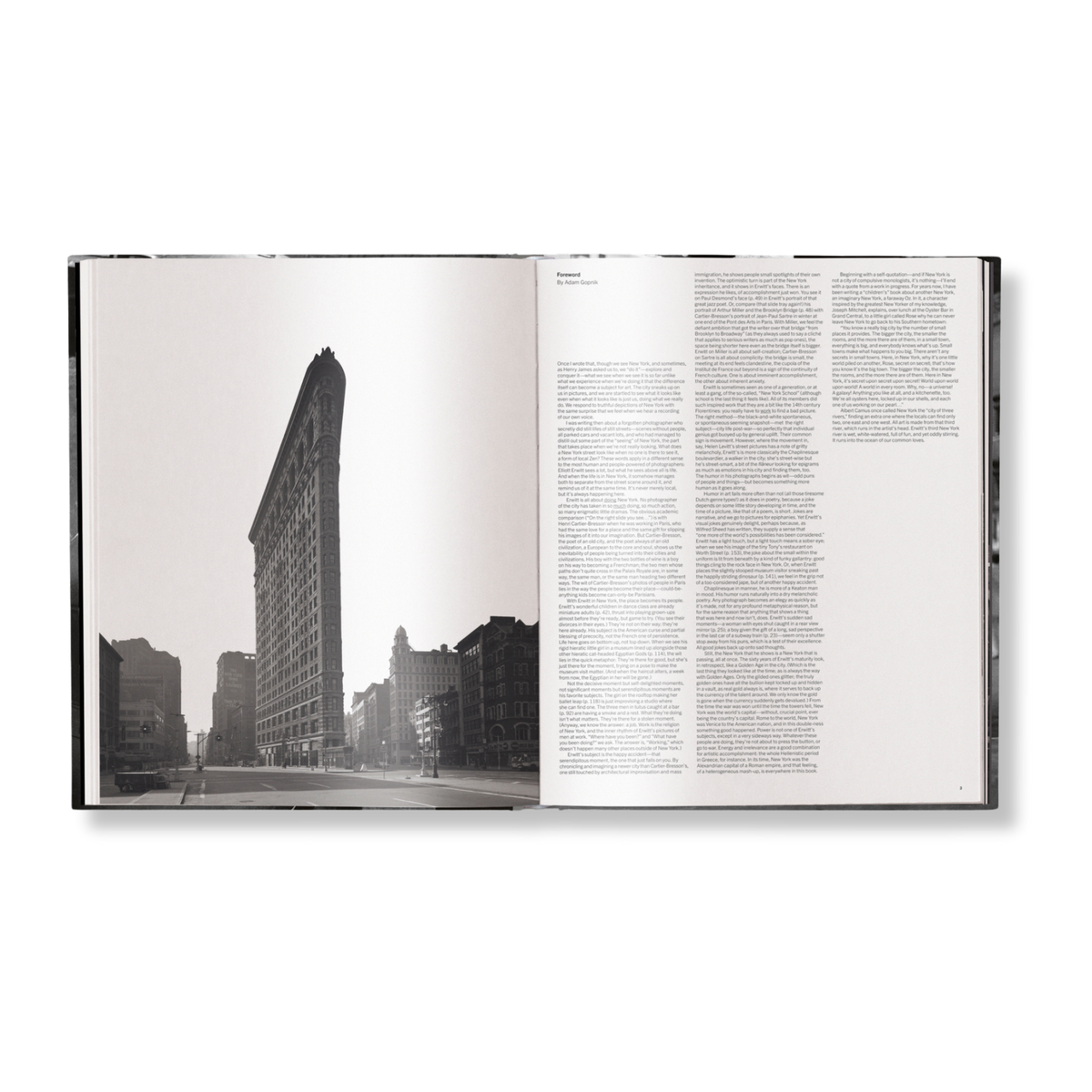 Elliott Erwitt's New York