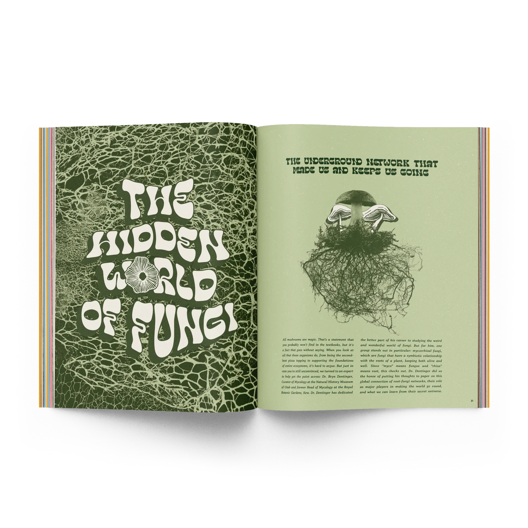 The Roots Issue 02.02