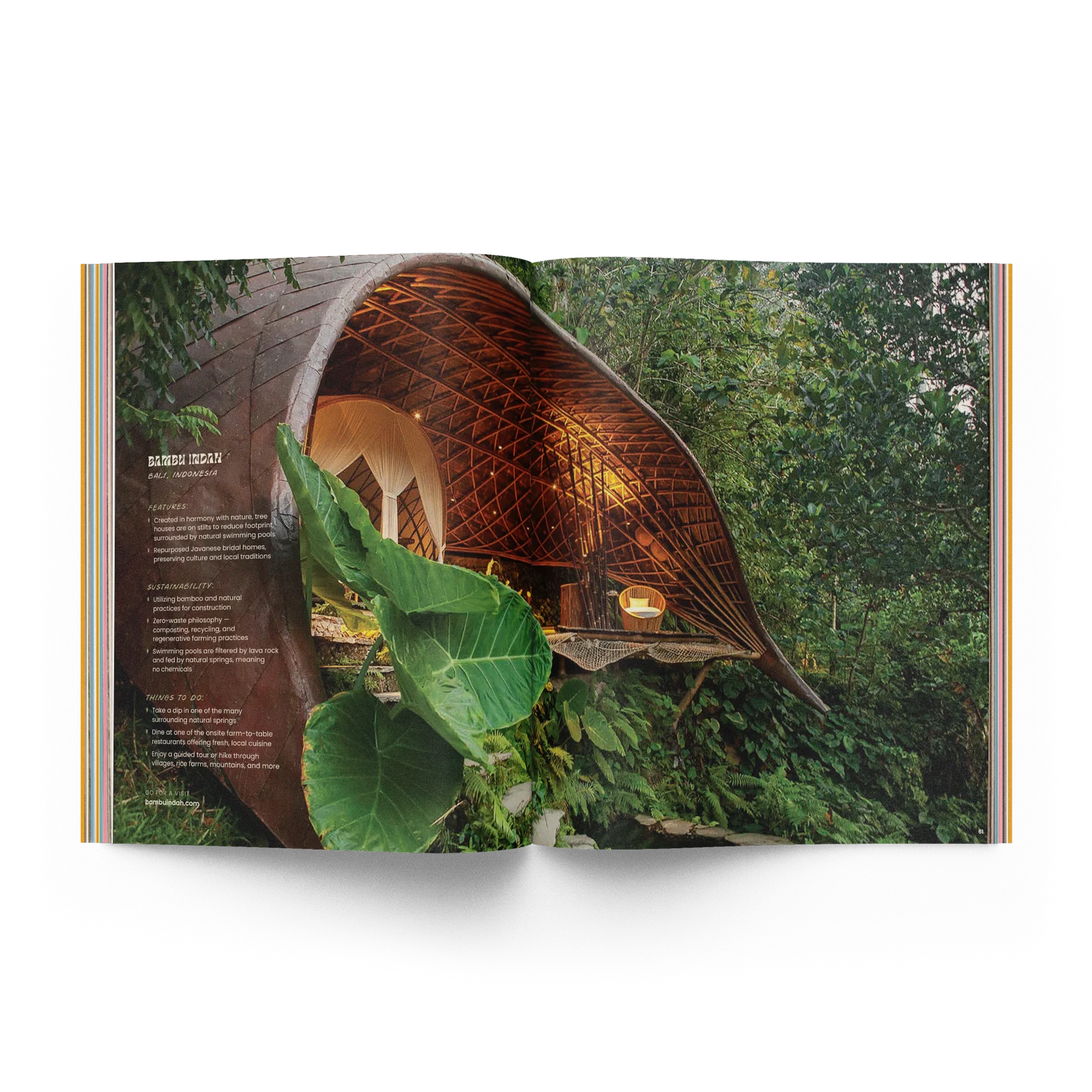The Roots Issue 02.02