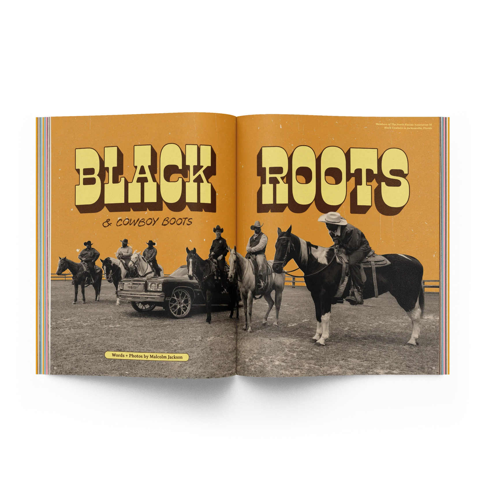 The Roots Issue 02.02