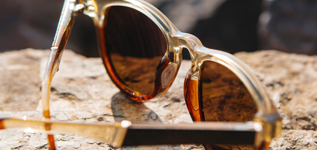 Francis ACTV: Canyon // Elm Burl - Brown Polarized