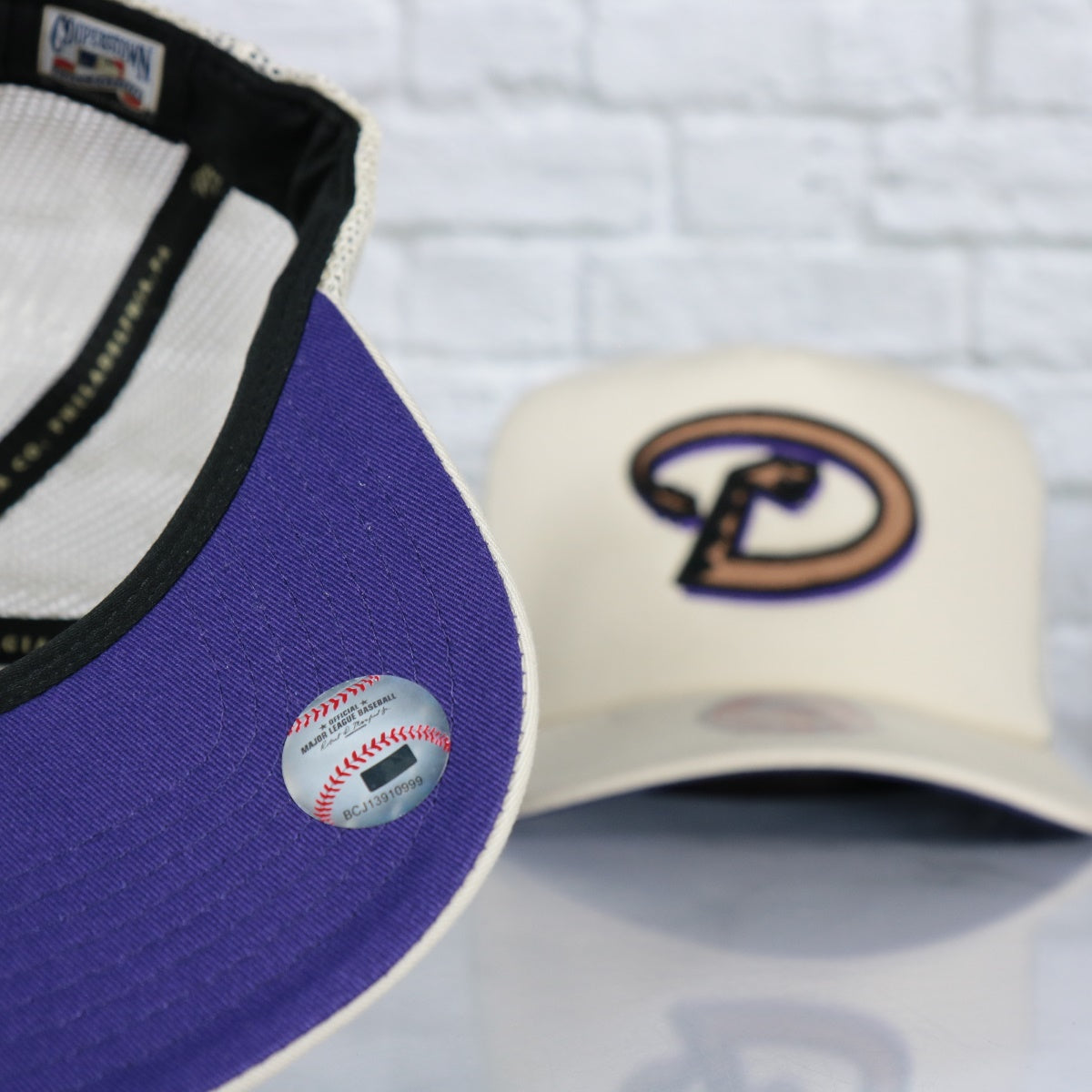 ARIZONA DIAMONDBACKS FOAM TRUCKER
