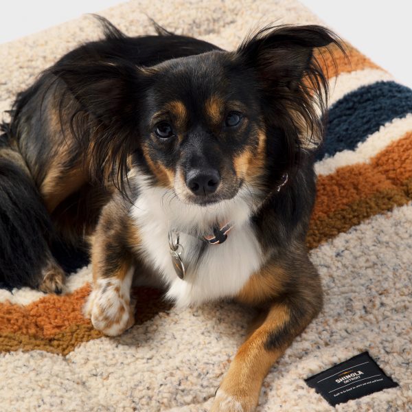 Medium Shinola Brand Stripe Comfort Cushion Oatmeal