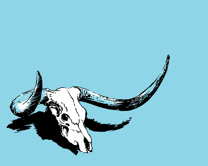Wildsam Field Guides-Austin