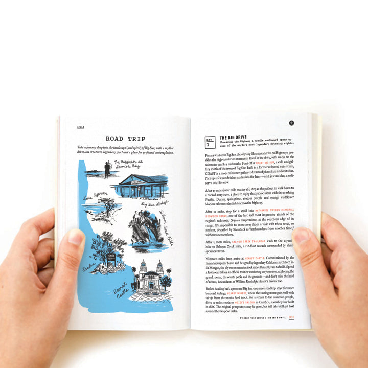 Wildsam Field Guides-Big Sur & HWY 1