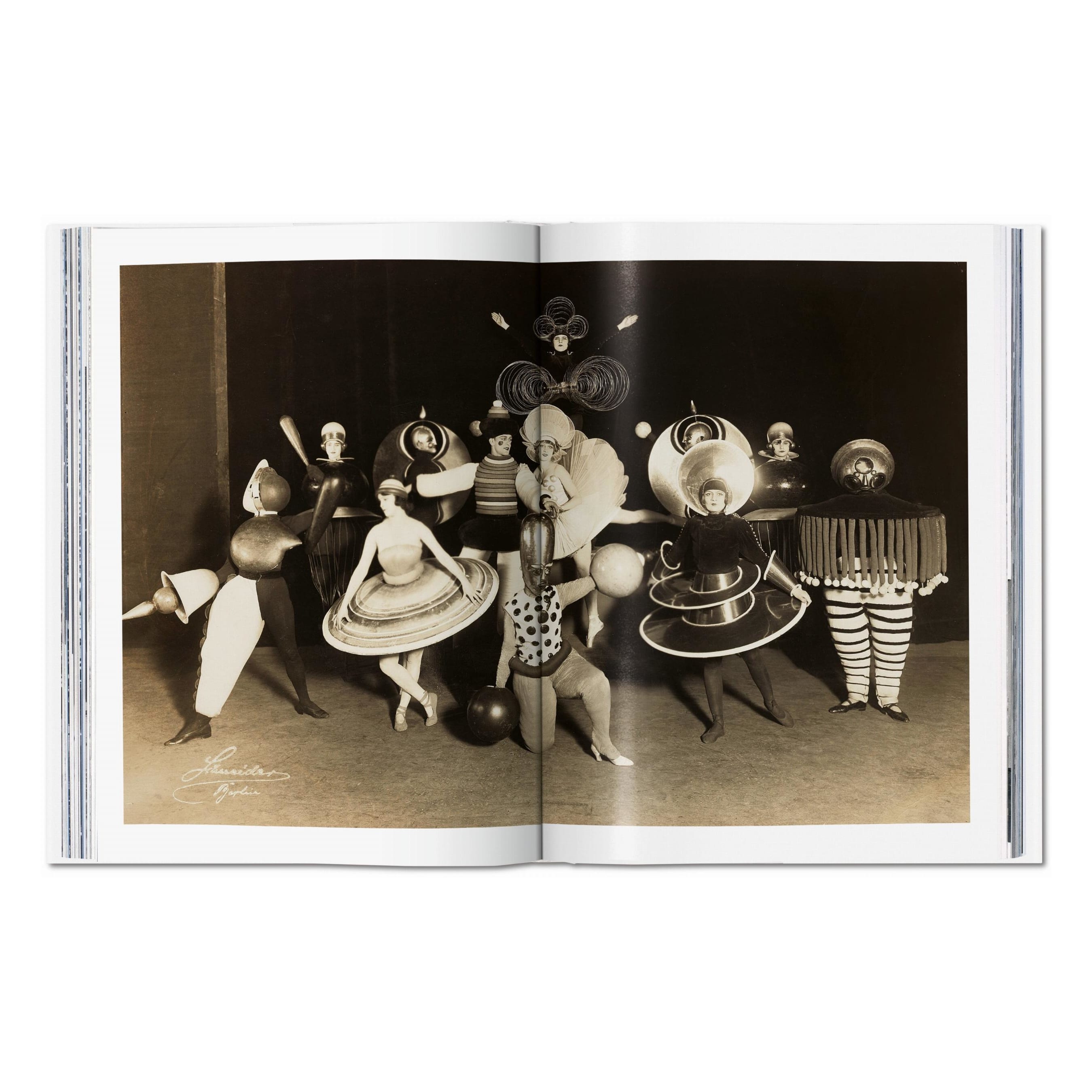 Bauhaus. Updated Edition (English)