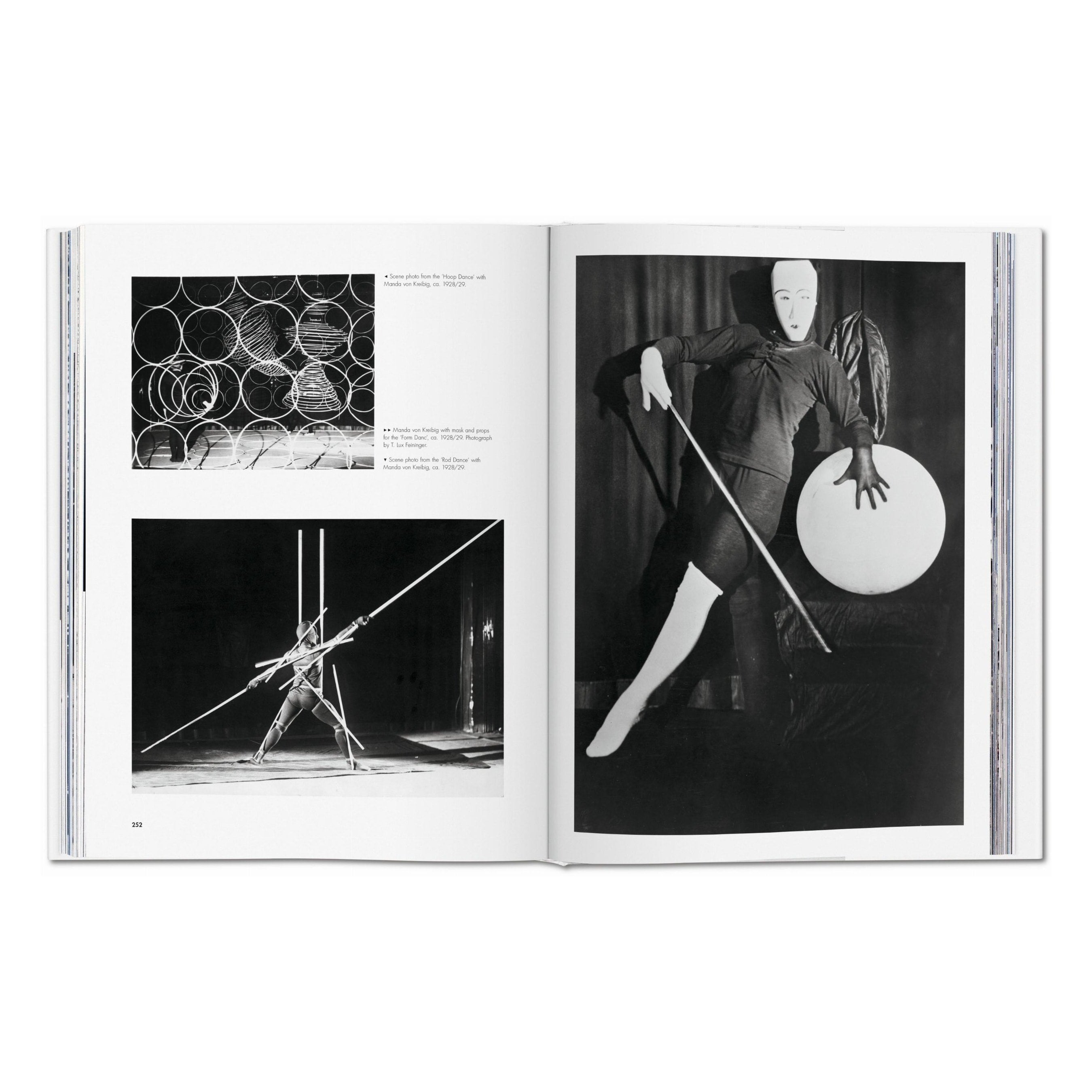 Bauhaus. Updated Edition (English)