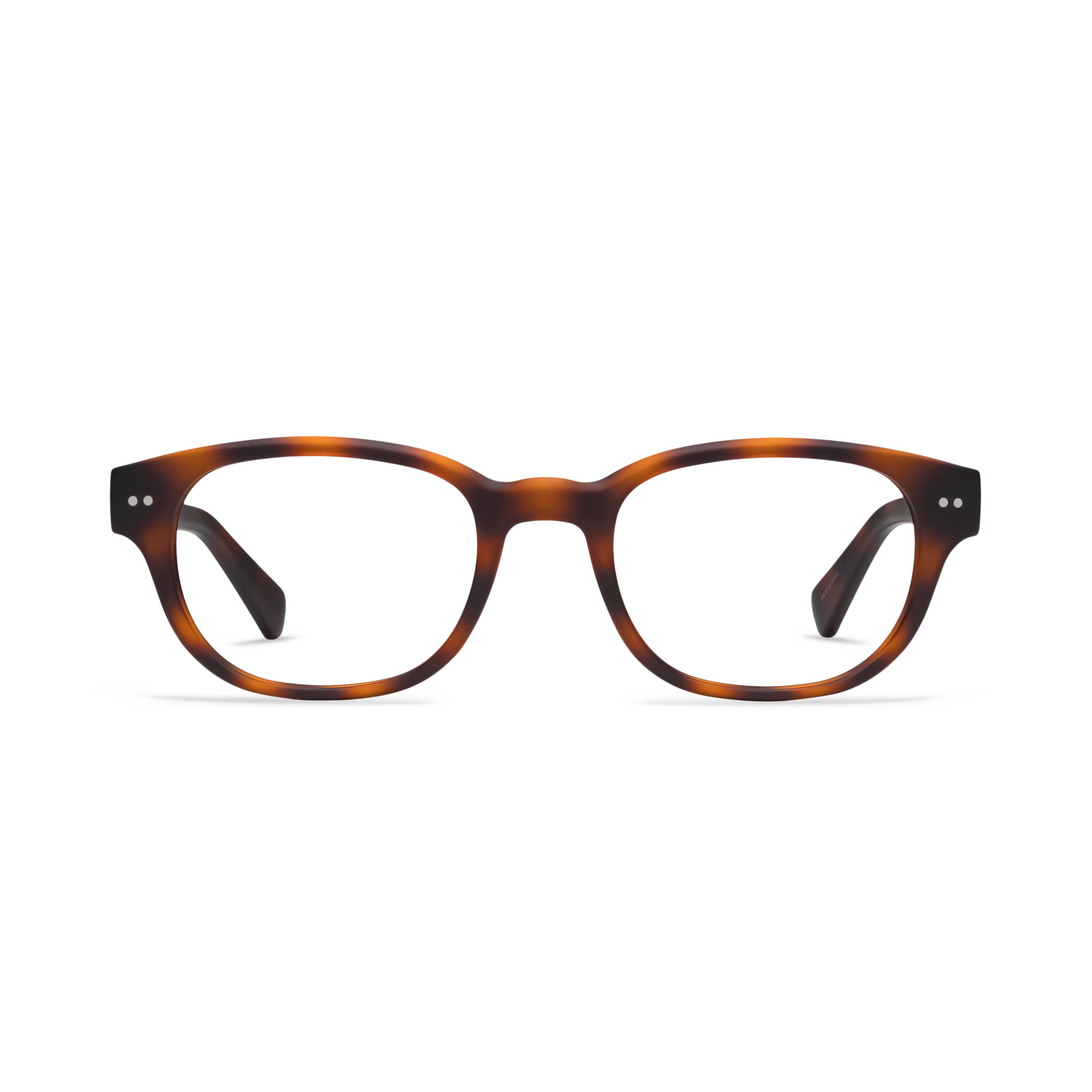 BOND READERS - TORTOISE