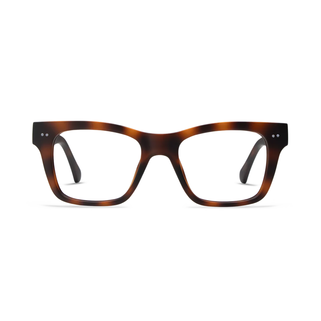 COSMO READERS - TORTOISE