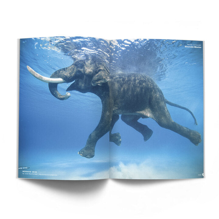 THE PHOTO ISSUE: VOLUME 9 – ISSUE 2