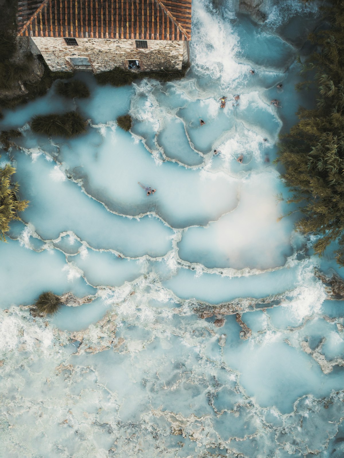 The Nature of Swimming (Updated Edition)