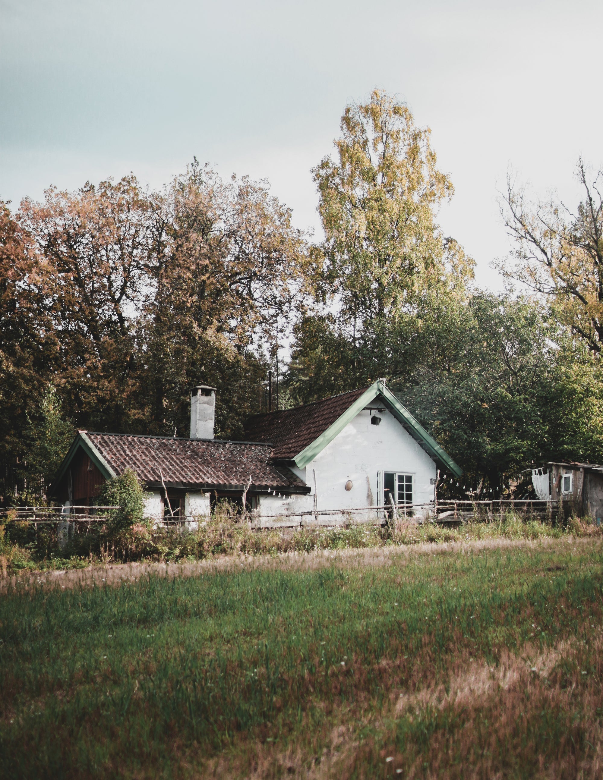 COUNTRY AND COZY COUNTRYSIDE HOMES AND RURAL RETREATS