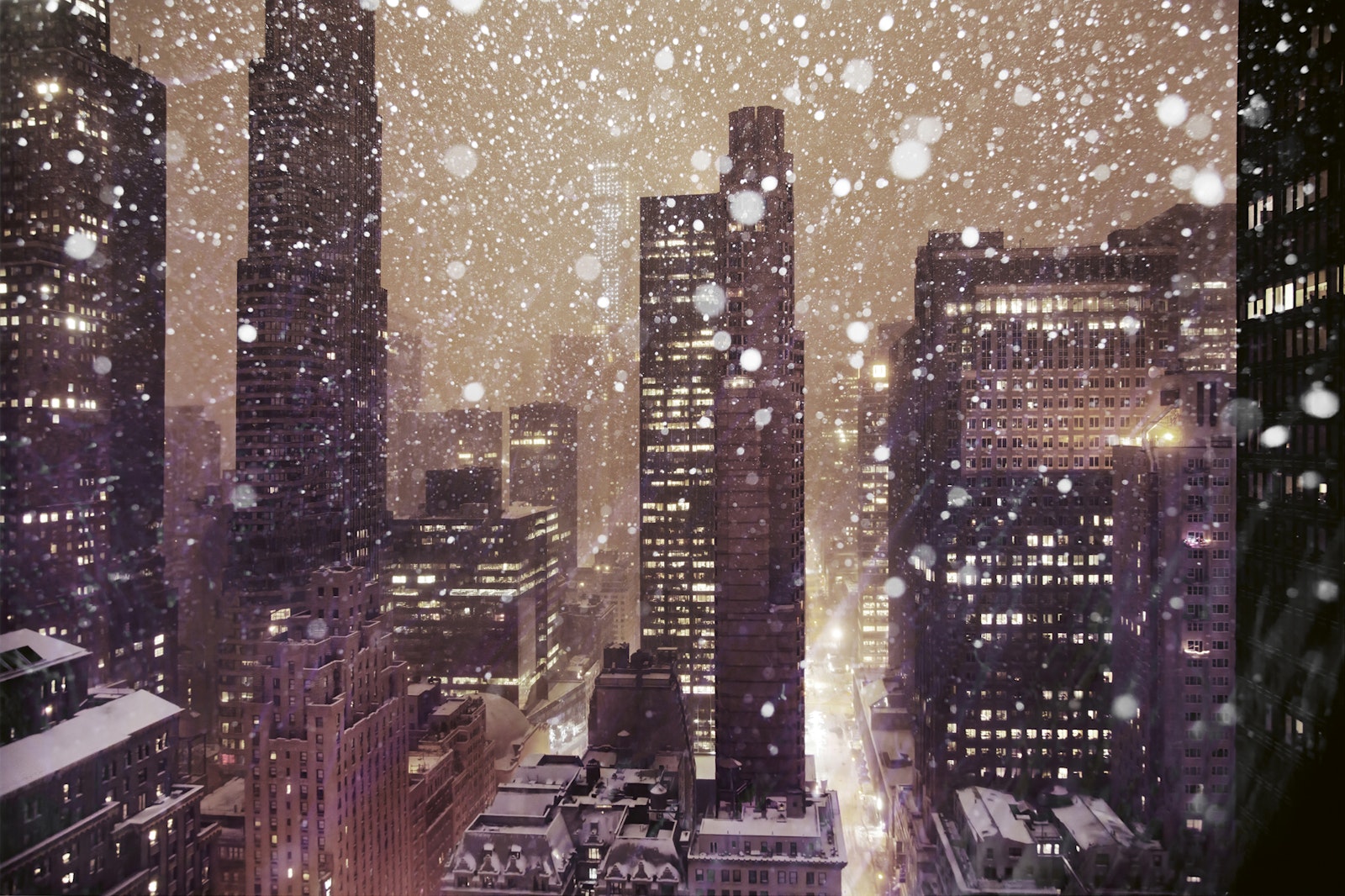 Winterland
