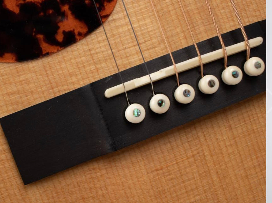 Larrivee P-09 - Left Handed Guitar