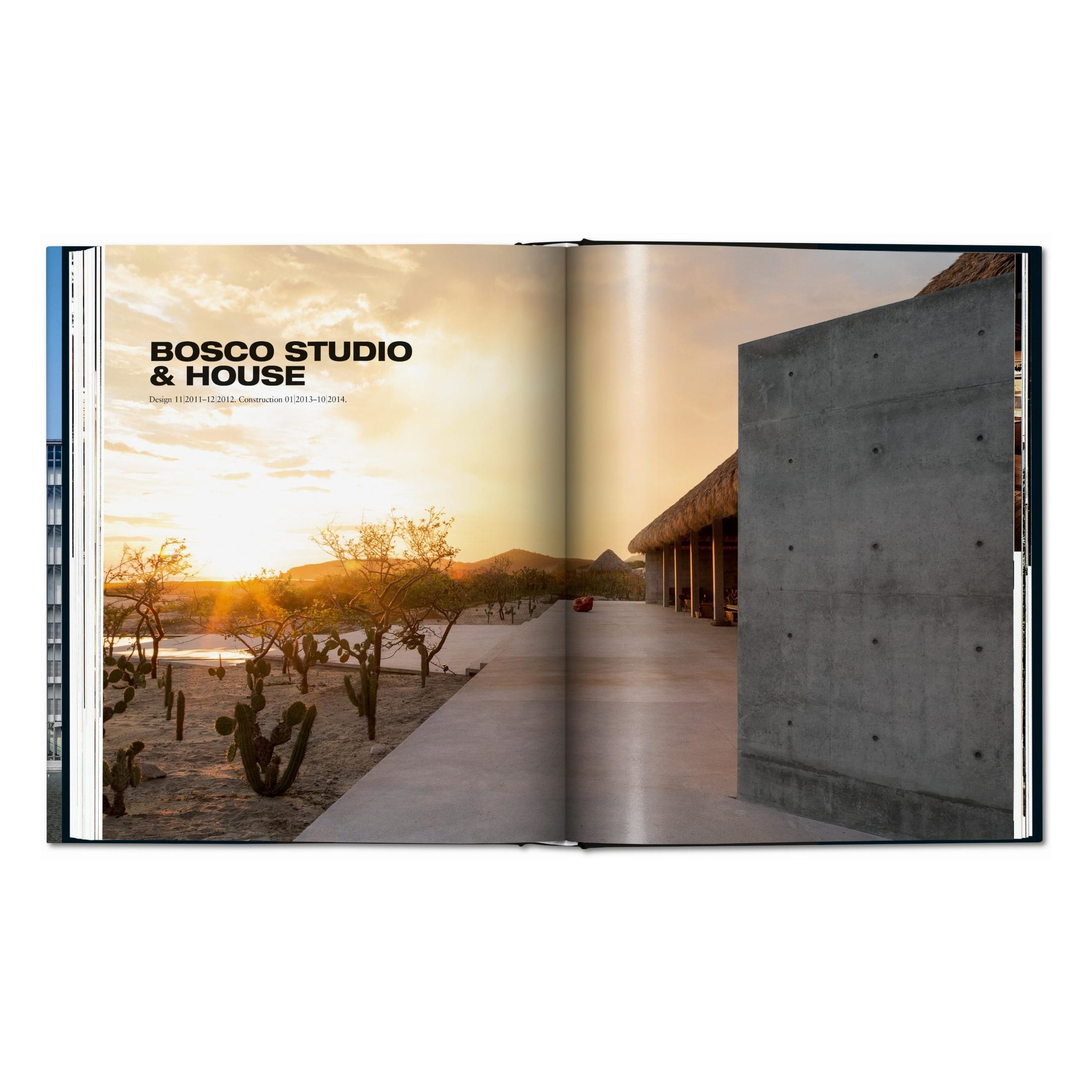 Ando. Complete Works 1975–Today (German, French, English)