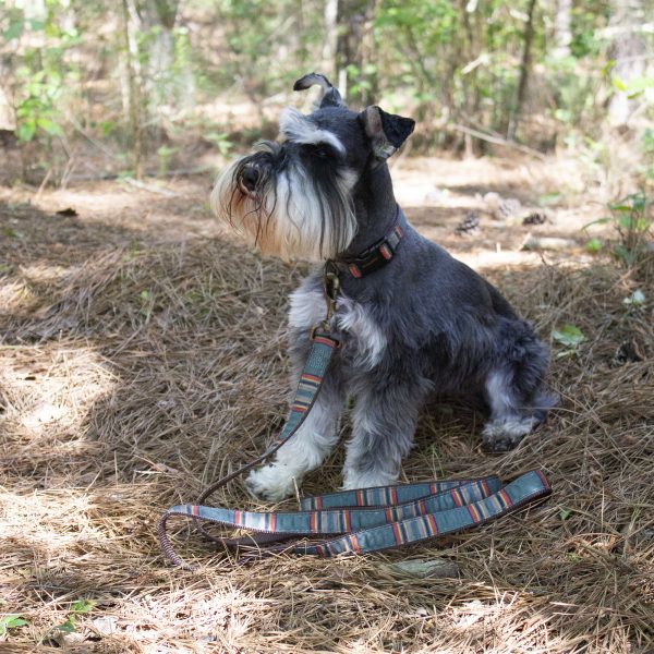 Pendleton Dog Collar
