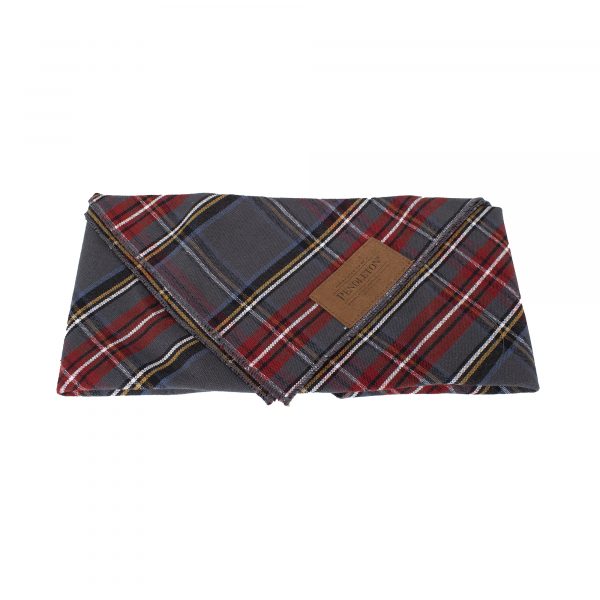 Pendleton Pet Bandana