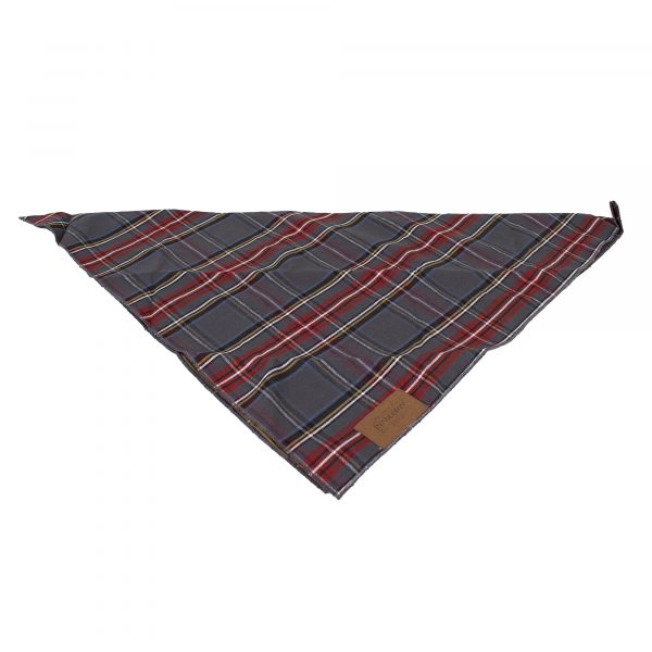 Pendleton Pet Bandana