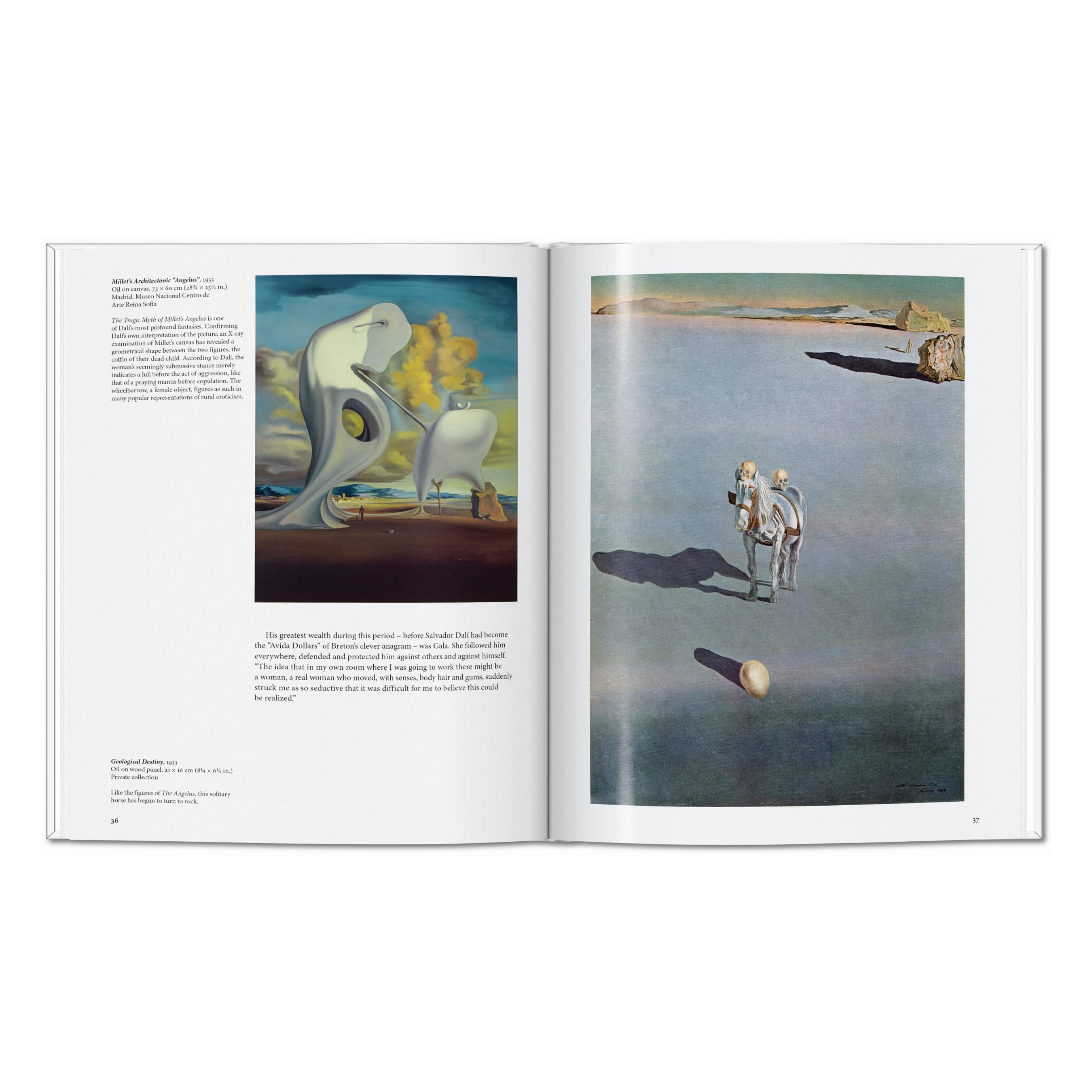 Dalí (English)