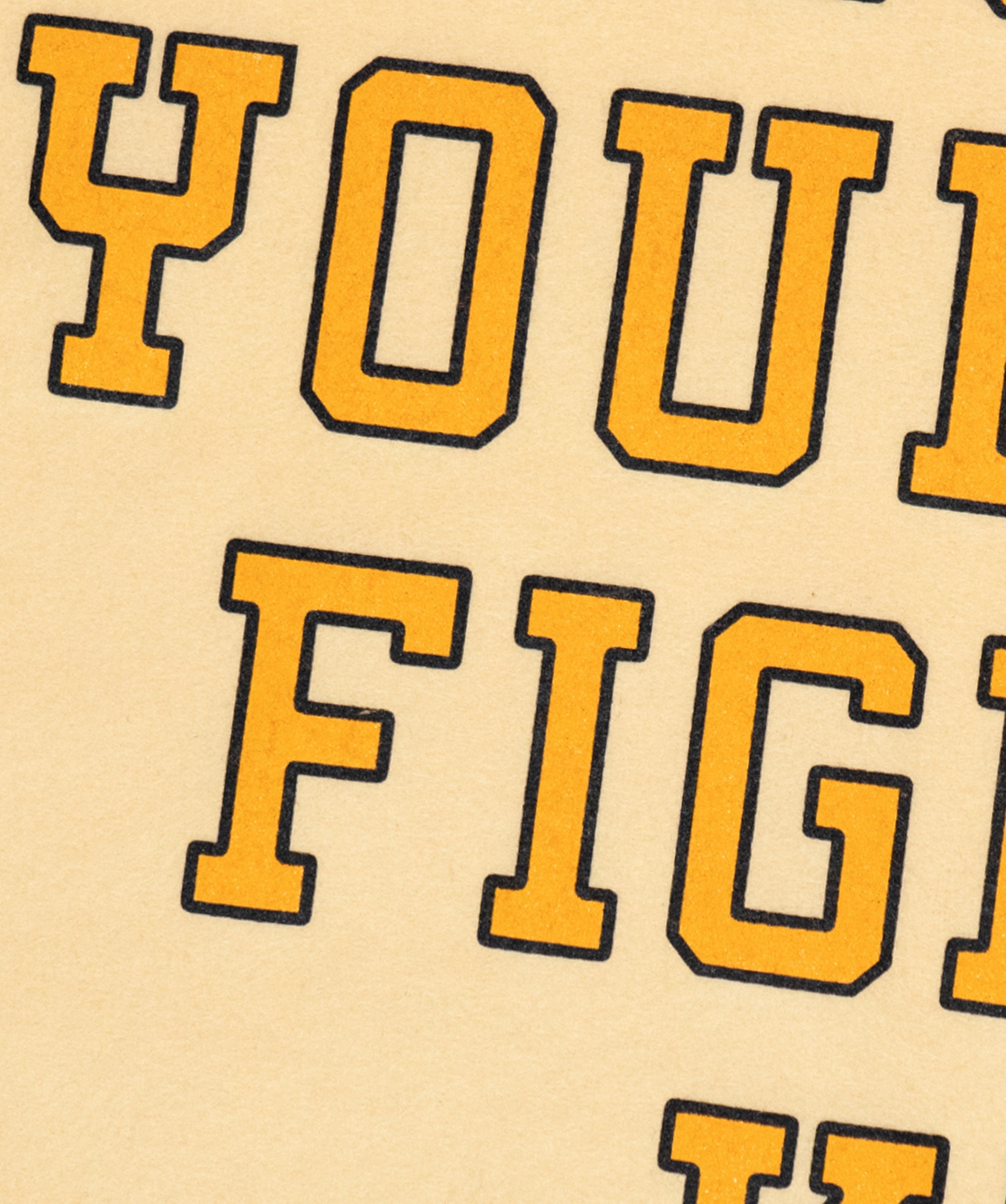Don't Lose Your Fight Camp Flag • All Time Low x Oxford Pennant