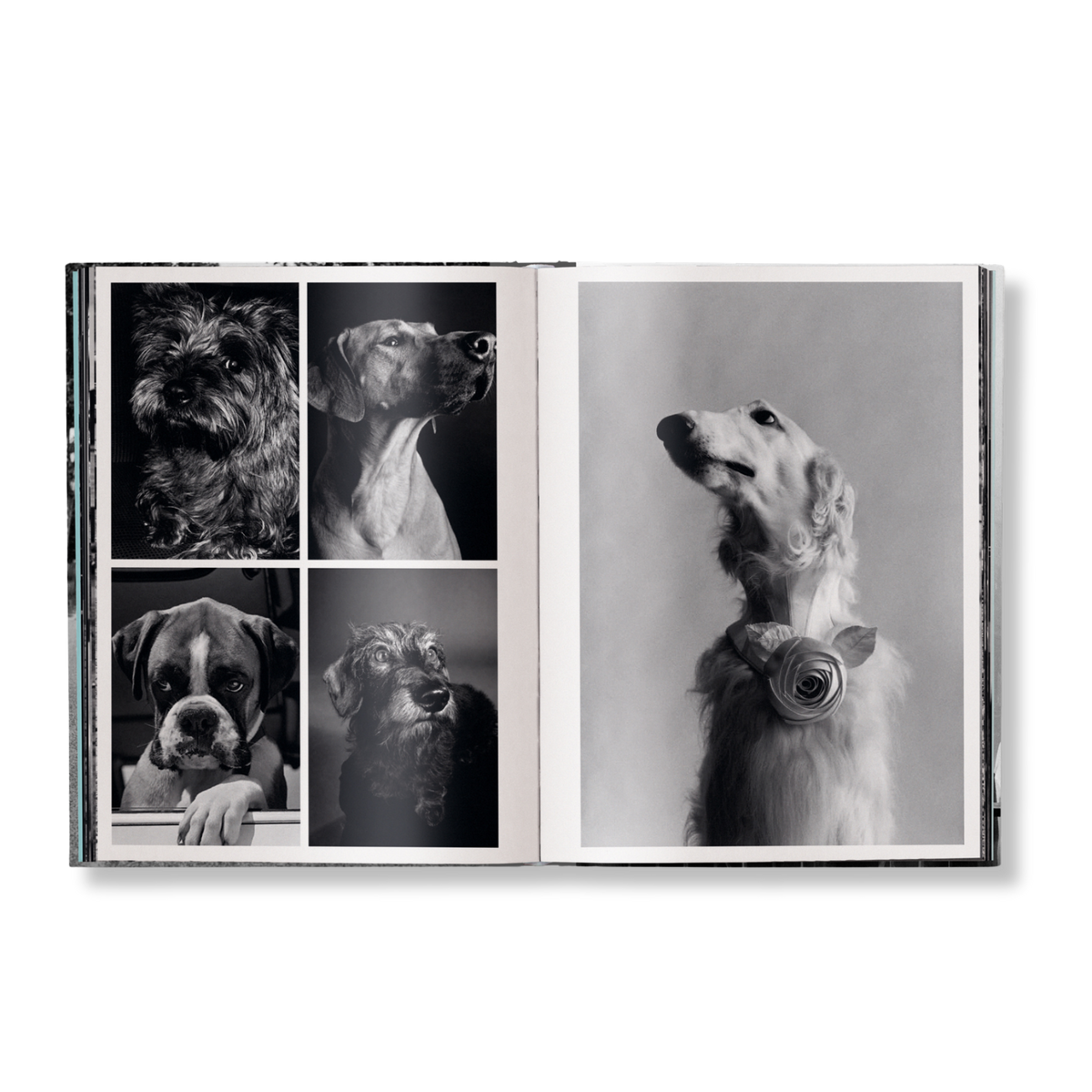 Elliott Erwitt: Personal Best