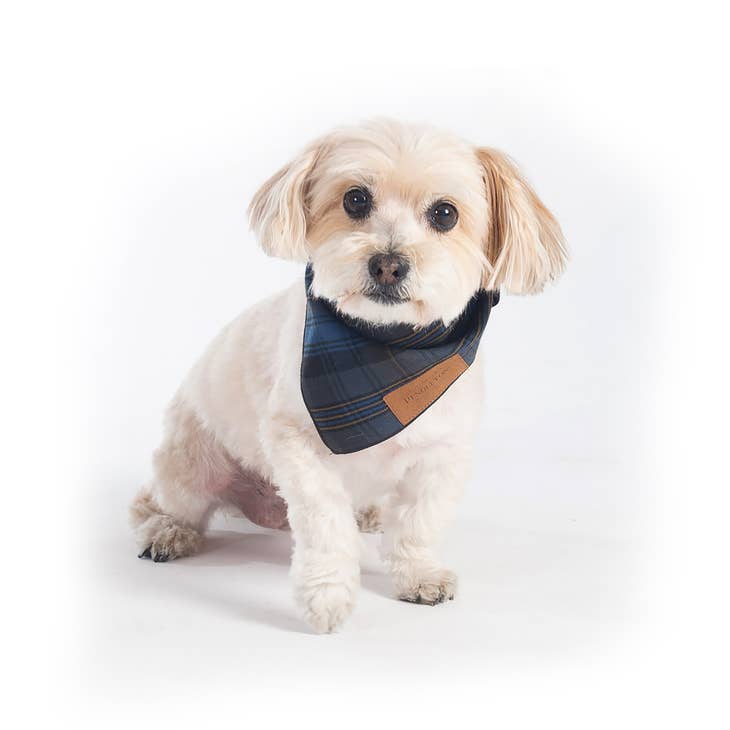 Pendleton Pet Bandana