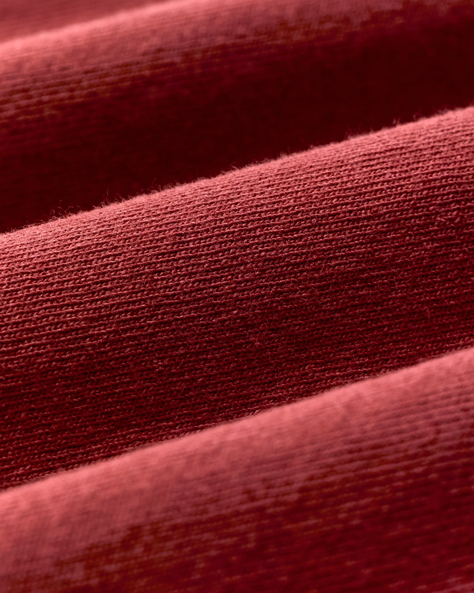 Bear Graphic T-Shirt