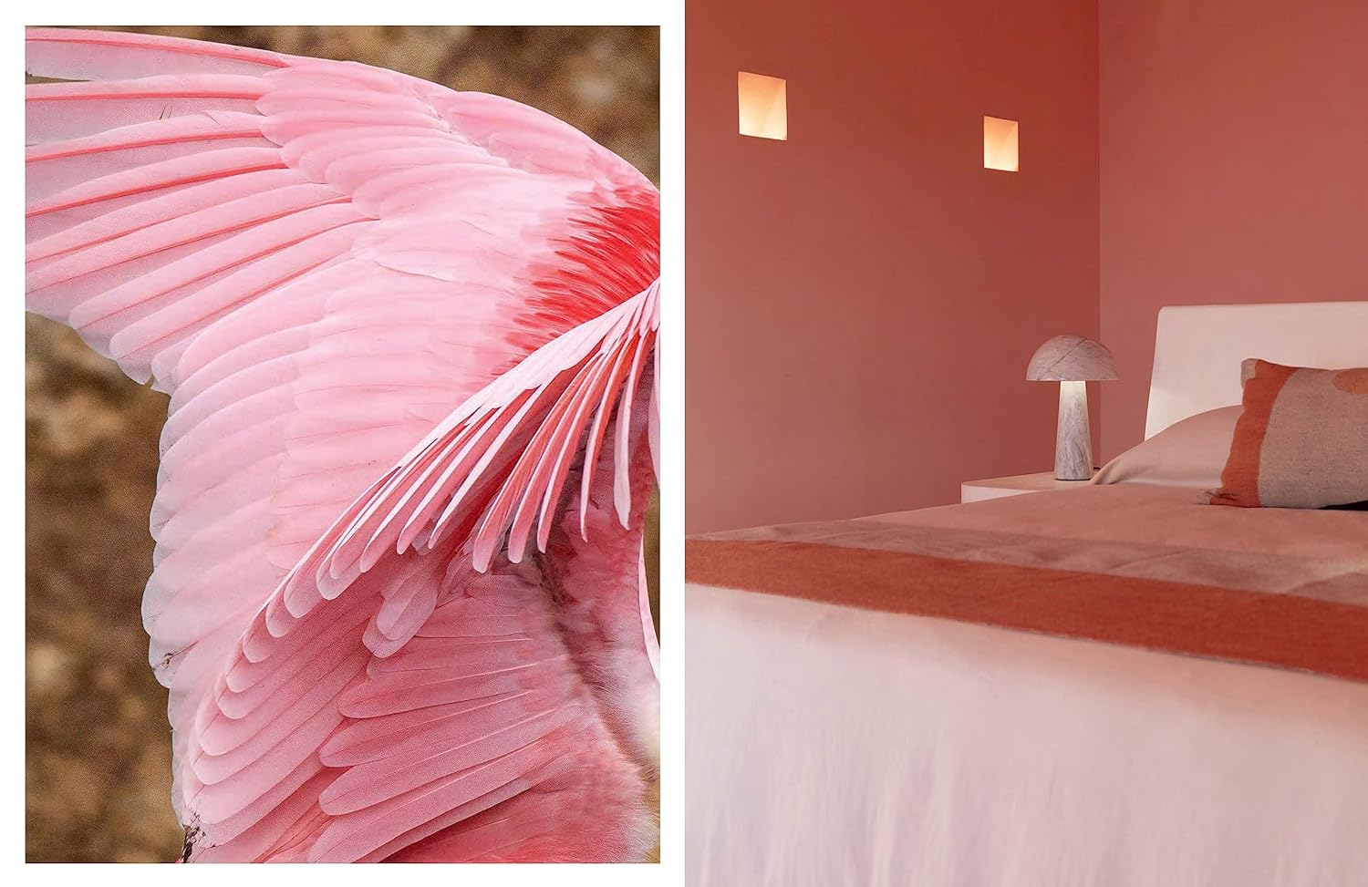 Mexicana -A Journey Through Design