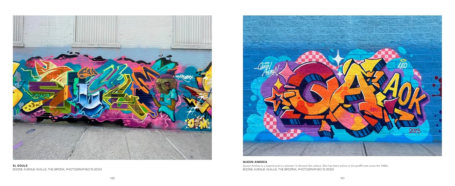 Aerosol Art Kings: Photographs of Street Art in New York City, 2018–2024