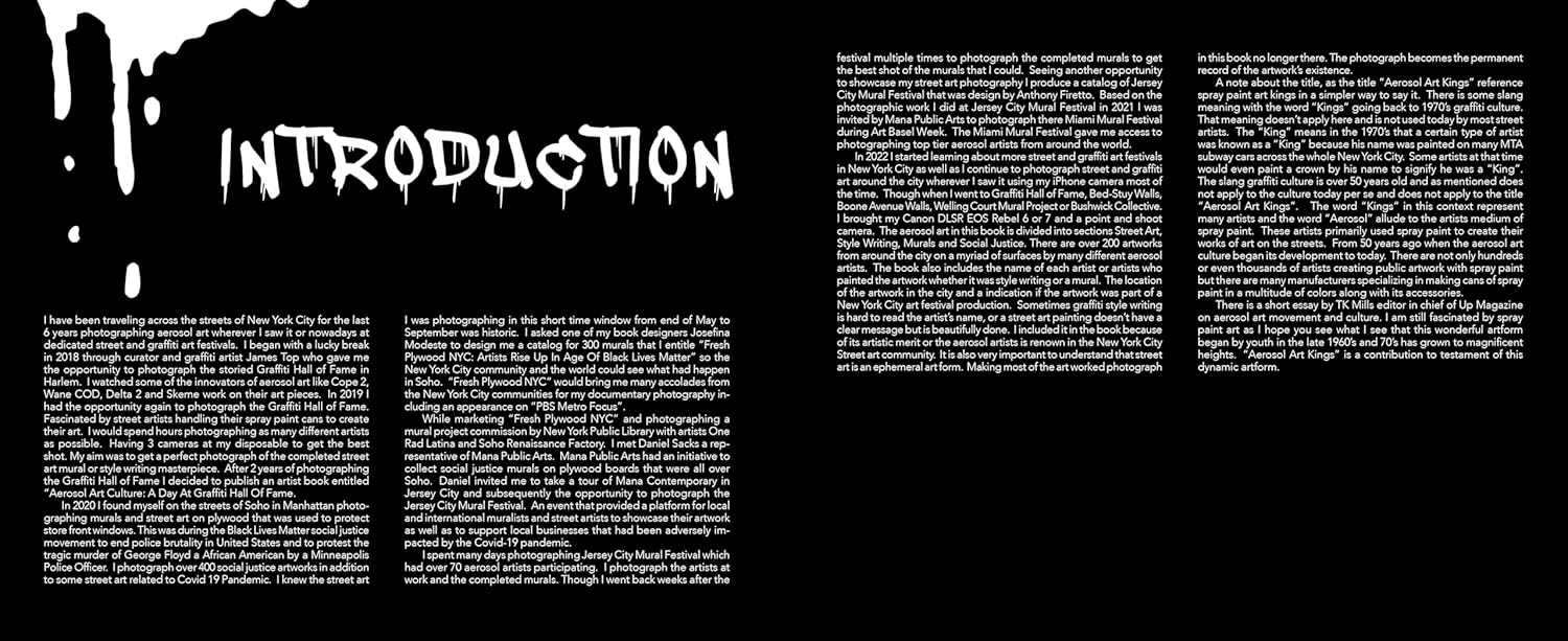 Aerosol Art Kings: Photographs of Street Art in New York City, 2018–2024