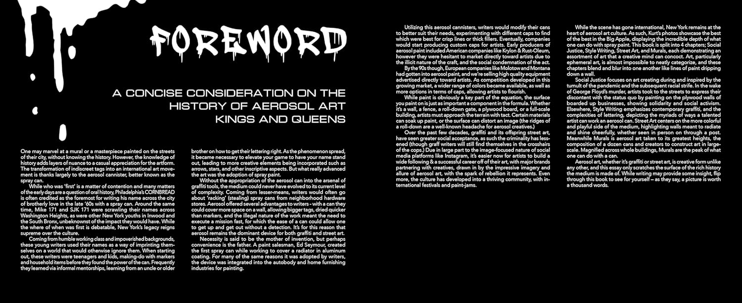 Aerosol Art Kings: Photographs of Street Art in New York City, 2018–2024