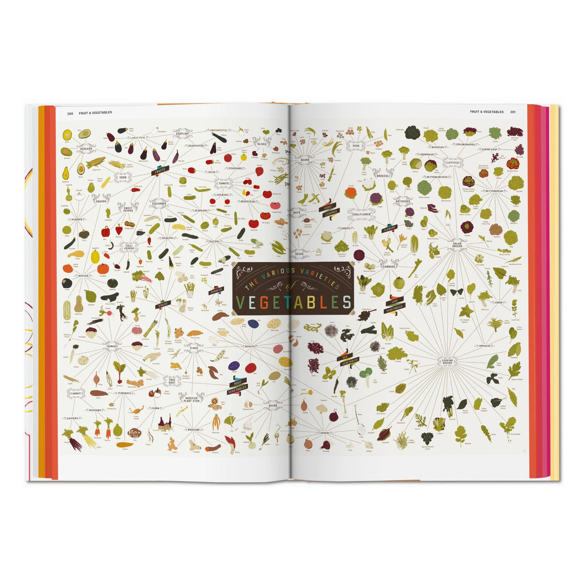Food & Drink Infographics. A Visual Guide to Culinary Pleasures (German, French, English)
