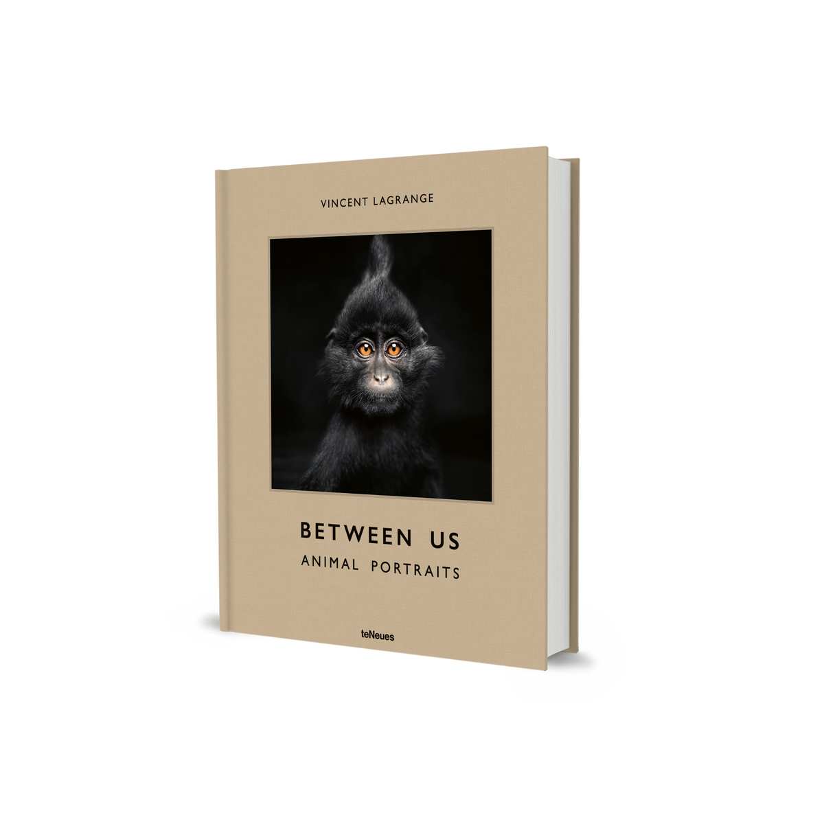 Between Us
