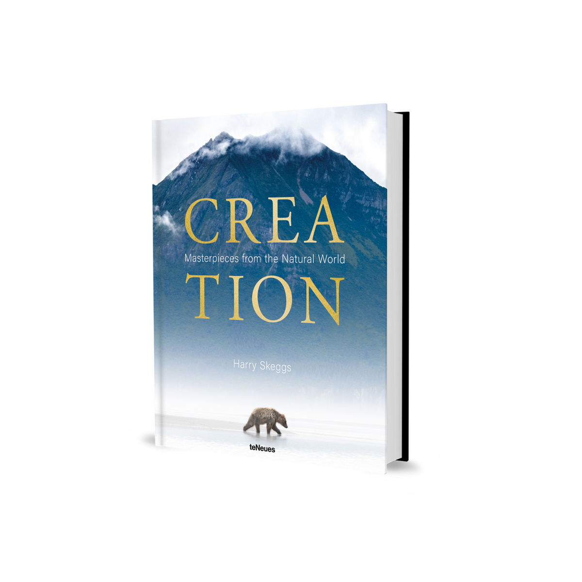 Creation