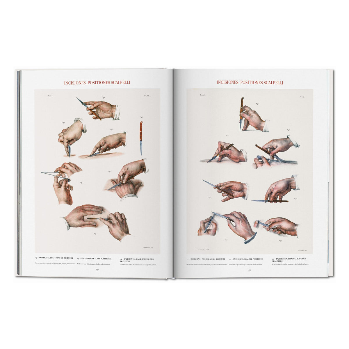 Bourgery. Atlas of Human Anatomy and Surgery (German, French, English)