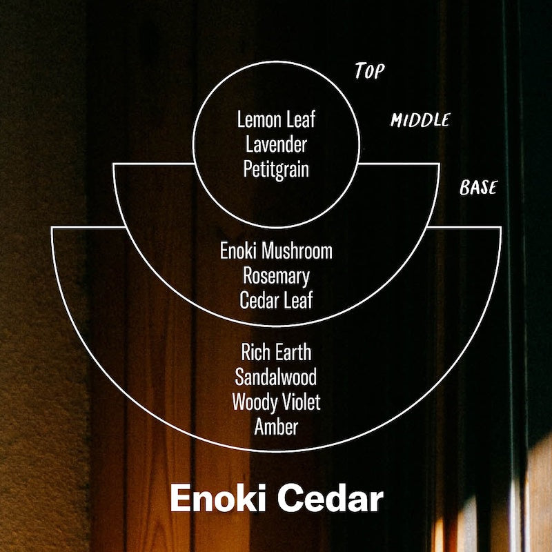 Enoki Cedar– 7.2 oz Soy Candle Alchemy Candle
