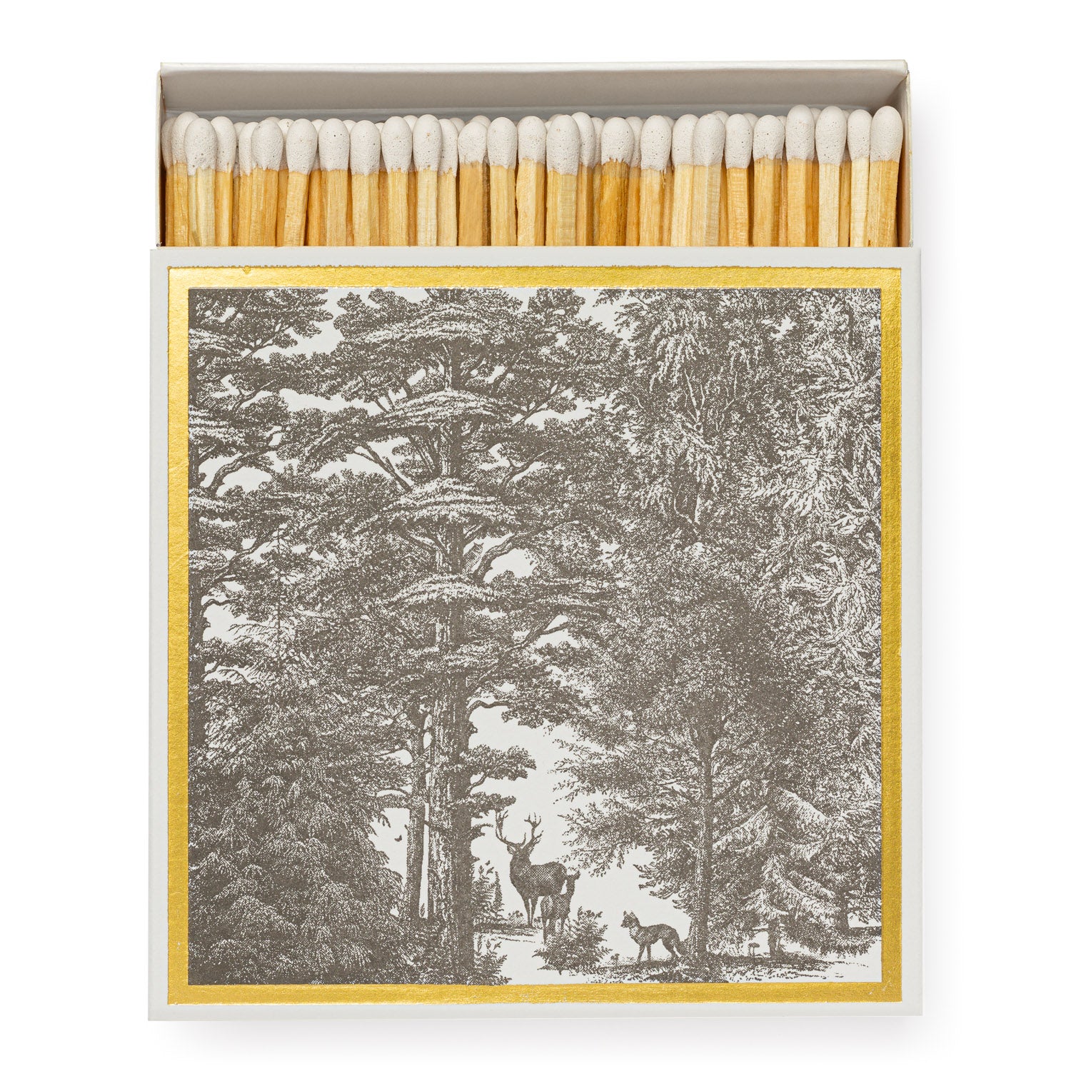 Enchanted Forest Matches
