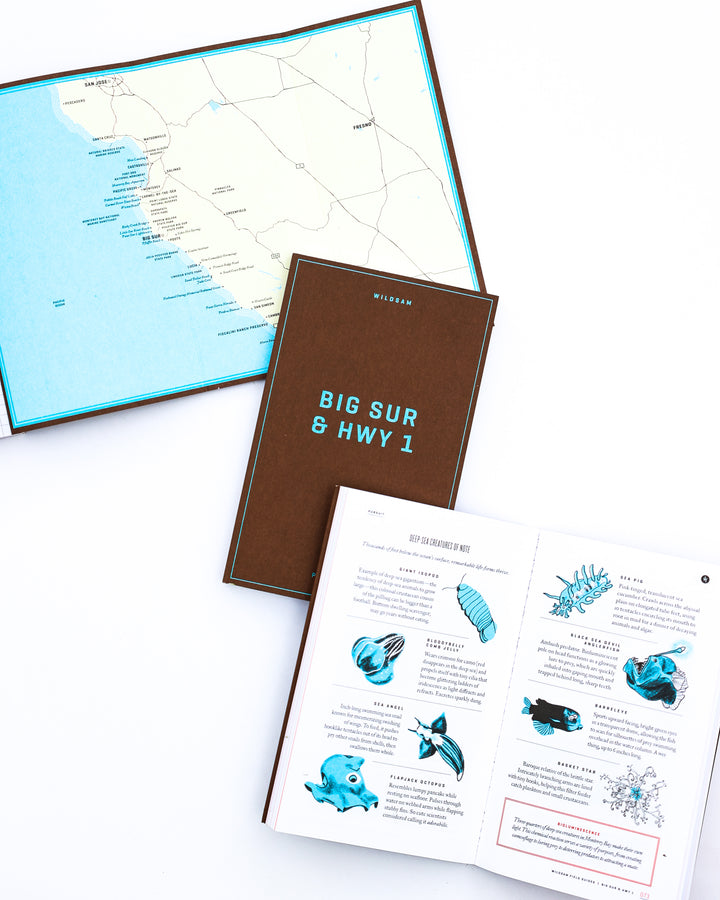 Wildsam Field Guides-Big Sur & HWY 1