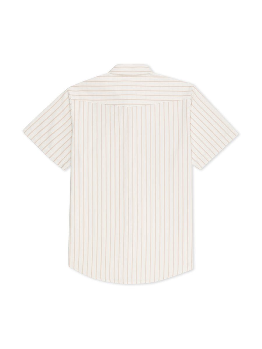 Canvas Stripe